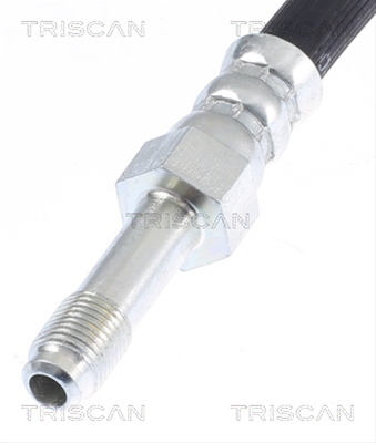 FURTUN FRANA
