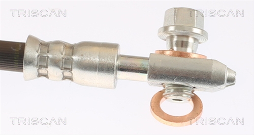 FURTUN FRANA