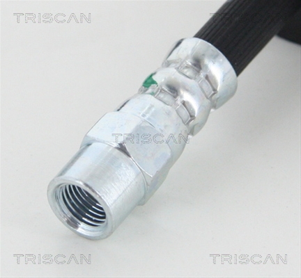 FURTUN FRANA