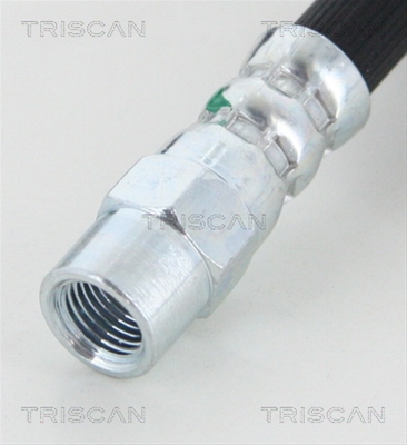 FURTUN FRANA
