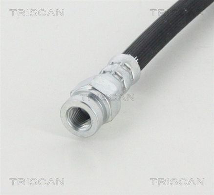 FURTUN FRANA