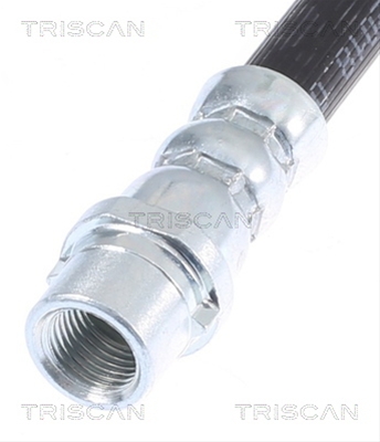 FURTUN FRANA