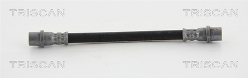 FURTUN FRANA