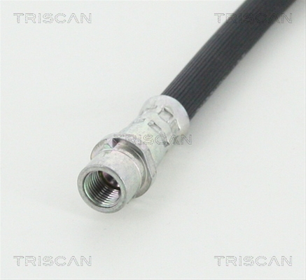 FURTUN FRANA