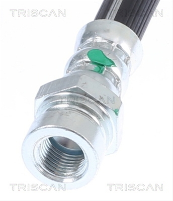 FURTUN FRANA