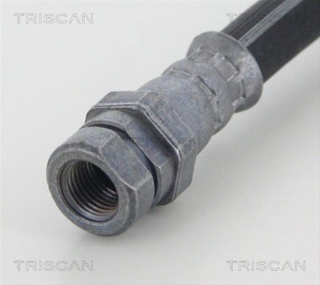 FURTUN FRANA