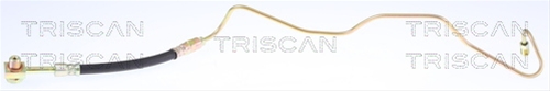 FURTUN FRANA