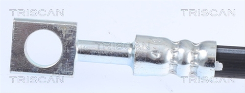 FURTUN FRANA