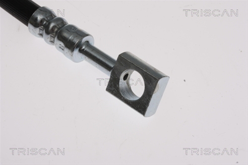FURTUN FRANA