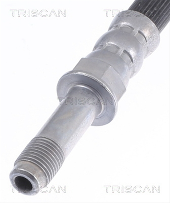 FURTUN FRANA