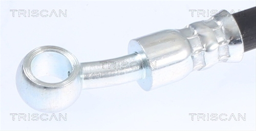FURTUN FRANA