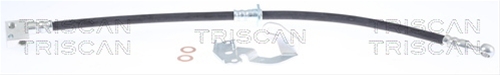 FURTUN FRANA