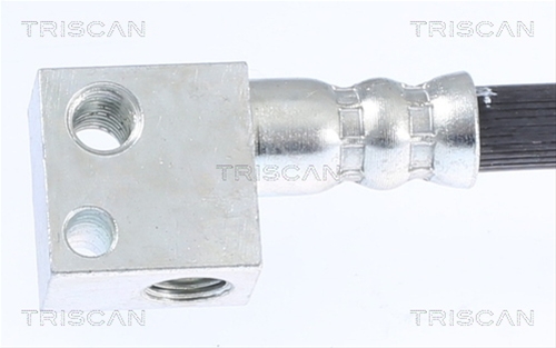 FURTUN FRANA