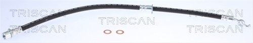 FURTUN FRANA