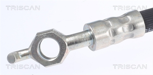 FURTUN FRANA