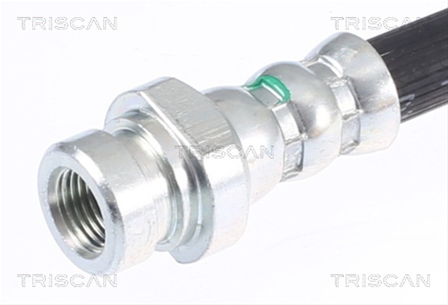 FURTUN FRANA