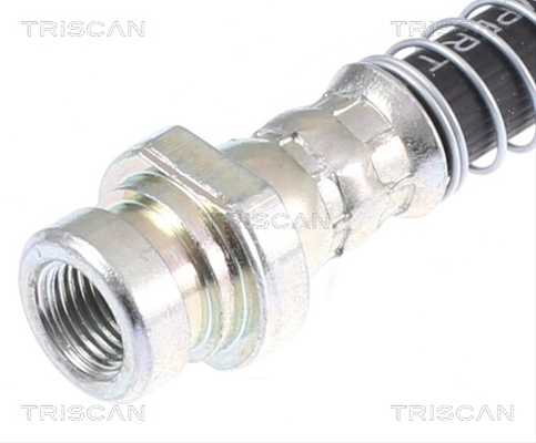 FURTUN FRANA
