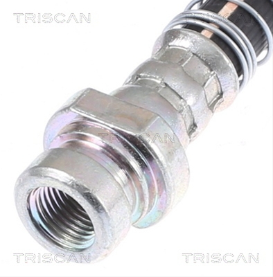 FURTUN FRANA