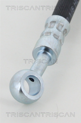 FURTUN FRANA