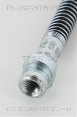 FURTUN FRANA
