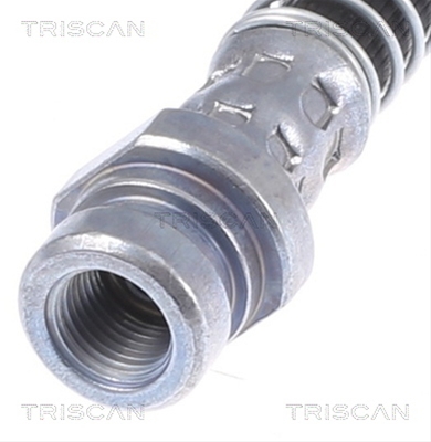 FURTUN FRANA