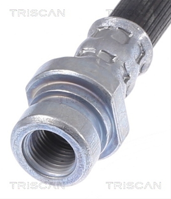 FURTUN FRANA