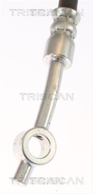 FURTUN FRANA