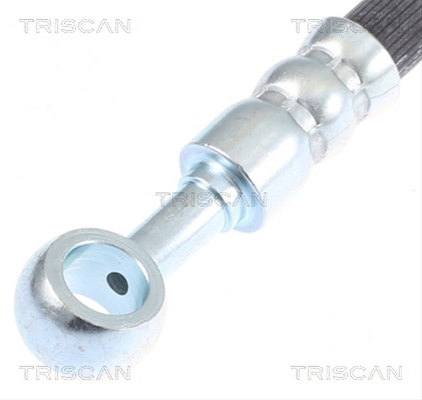 FURTUN FRANA