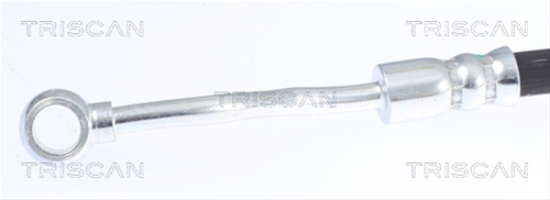 FURTUN FRANA