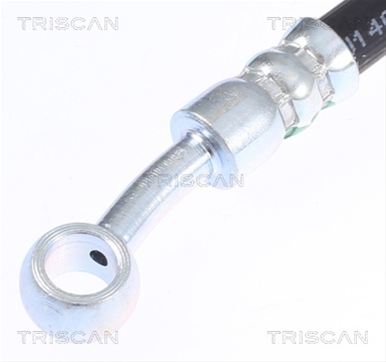 FURTUN FRANA