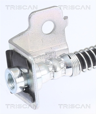 FURTUN FRANA