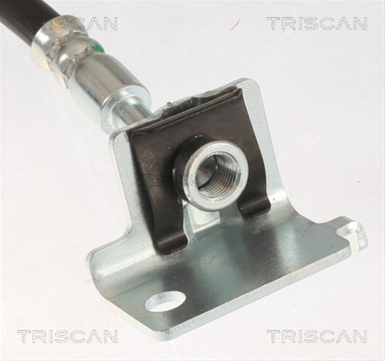 FURTUN FRANA
