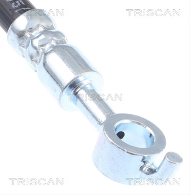 FURTUN FRANA