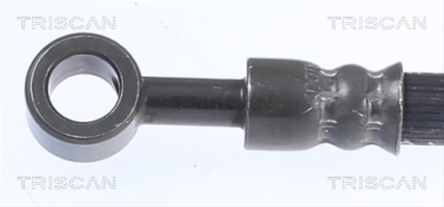 FURTUN FRANA