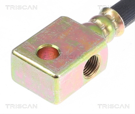 FURTUN FRANA