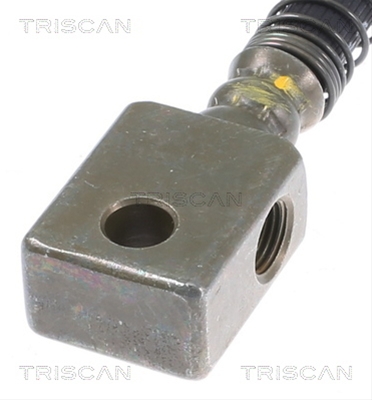 FURTUN FRANA
