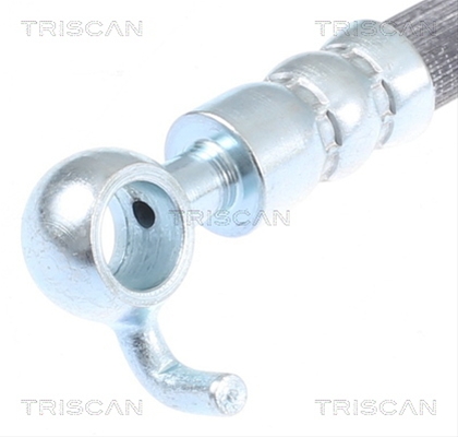 FURTUN FRANA