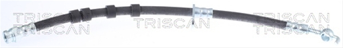 FURTUN FRANA
