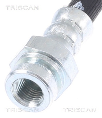 FURTUN FRANA