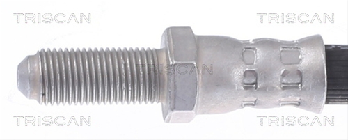 FURTUN FRANA