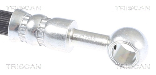 FURTUN FRANA