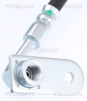 FURTUN FRANA