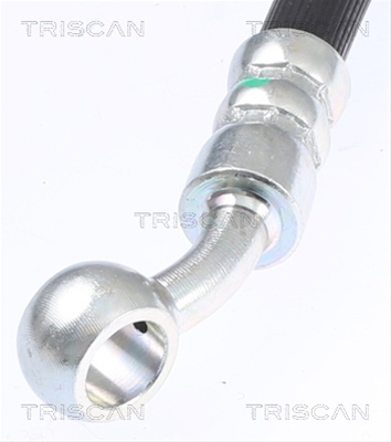 FURTUN FRANA