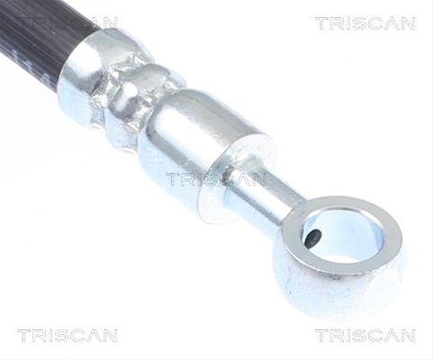 FURTUN FRANA
