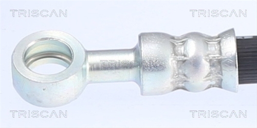 FURTUN FRANA