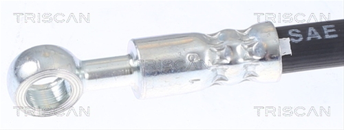 FURTUN FRANA