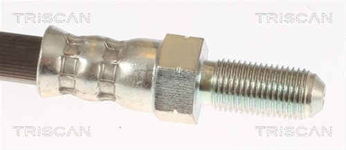 FURTUN FRANA