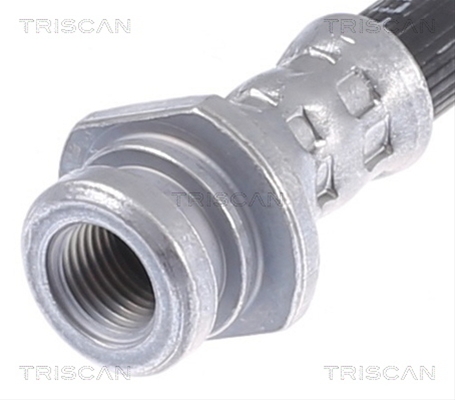 FURTUN FRANA