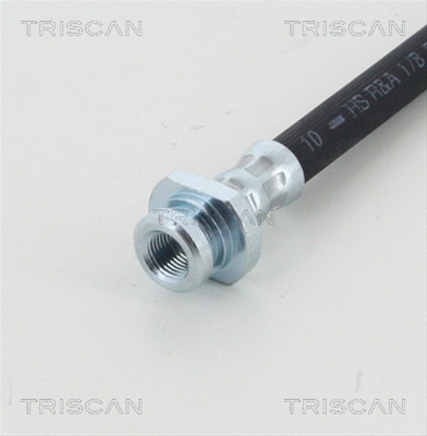 FURTUN FRANA