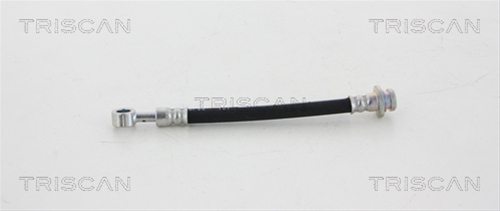 FURTUN FRANA